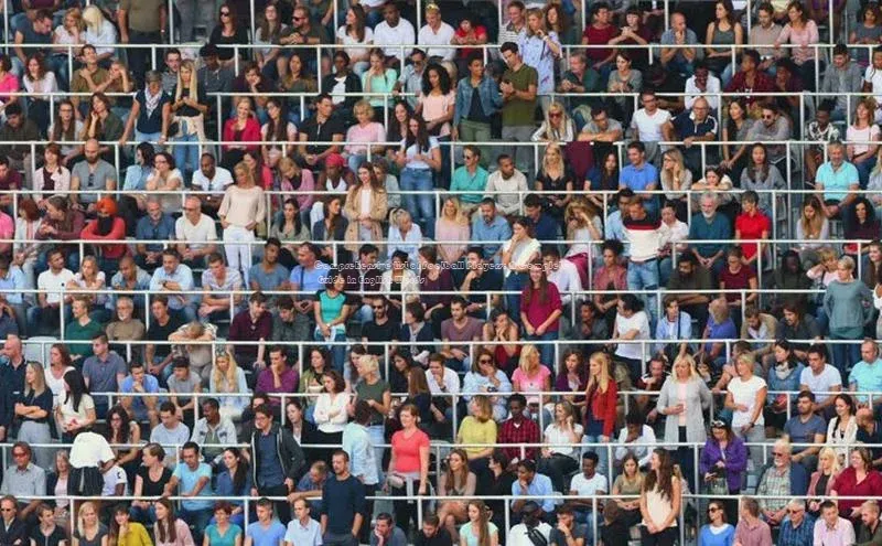 门徒平台登录地址百度数据开放平台Comprehensive List of Football Players: A Complete Guide in English Words