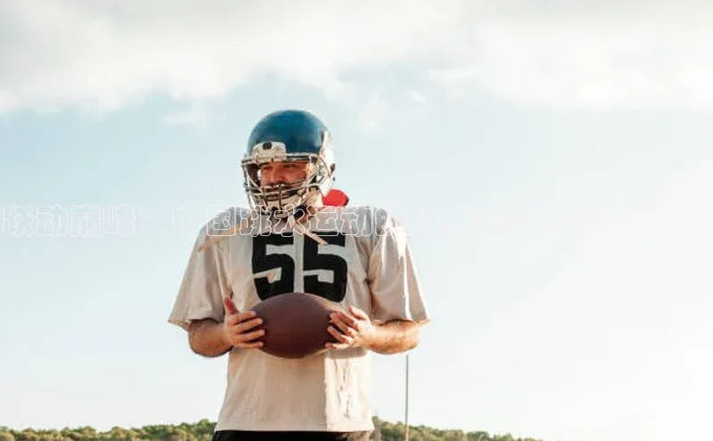 门徒娱乐百家号跃动巅峰：中国跳水运动的经典赛事回顾与展望