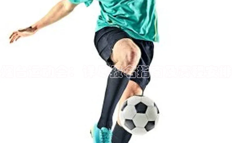 门徒登录入口百度游戏烟台运动会：详尽报名指南及赛程安排