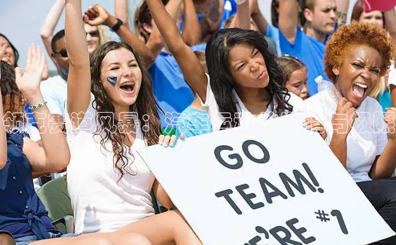 领克赛道风暴：汽车运动的激情与极限