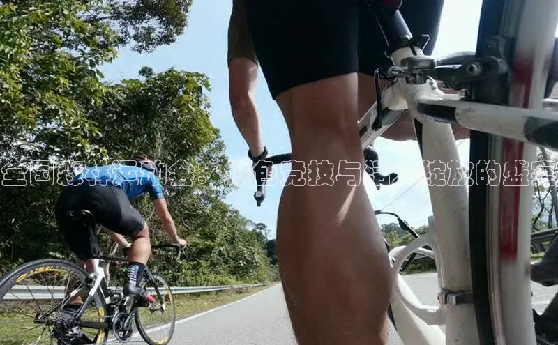 全国森林运动会：绿色竞技与活力绽放的盛宴