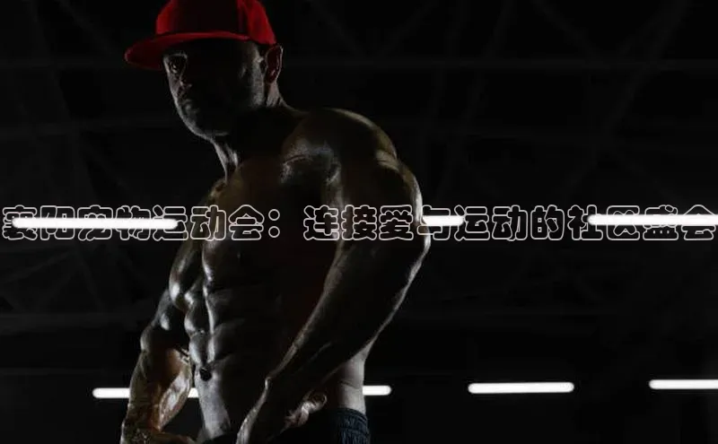 襄阳宠物运动会：连接爱与运动的社区盛会