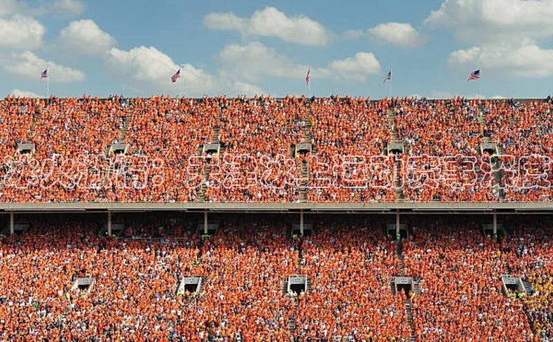 冰火激情：天津冰上运动赛事深度