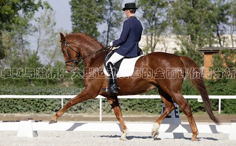 卓越与激情：大型运动赛事的全面评价与分析