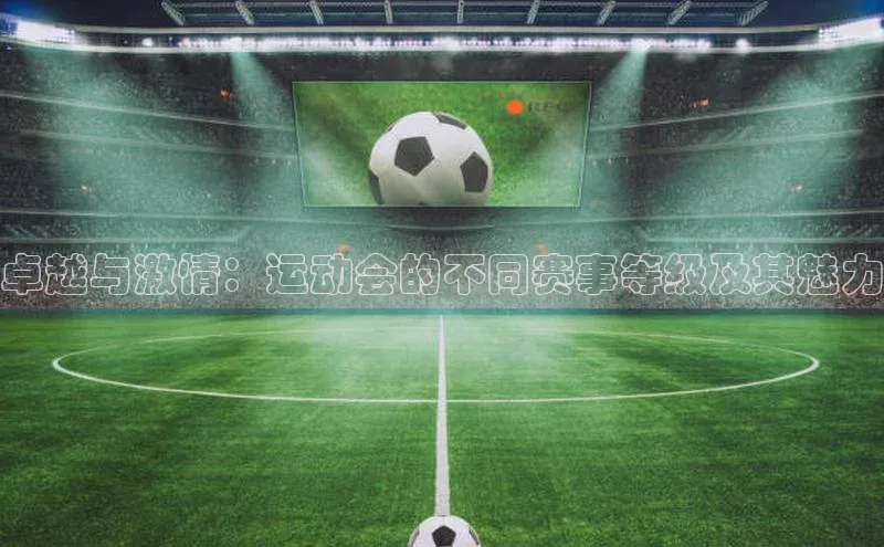 卓越与激情：运动会的不同赛事等级及其魅力