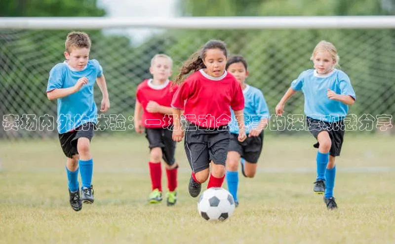 赛场内外的体验：一场运动会赛事的深度观感分享