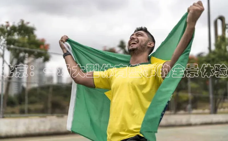 北京：一场大型体育盛事的全景体验