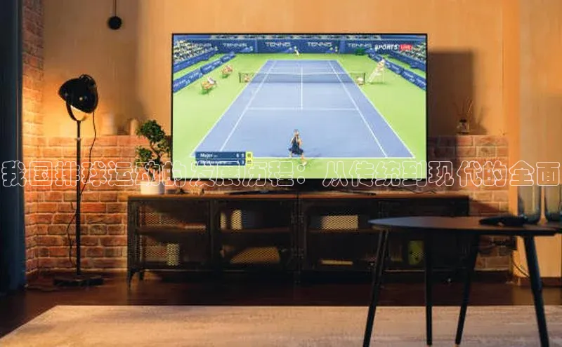 我国排球运动的发展历程：从传统到现代的全面