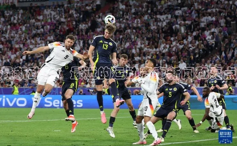 最新动态：最近的运动赛事新闻和亮点