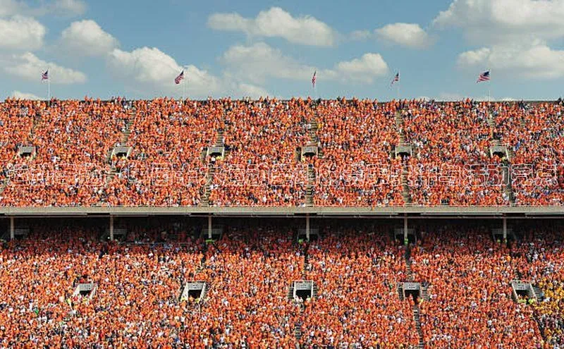 运动奇迹：中国十大运动圣地的赛事安排与活动亮点